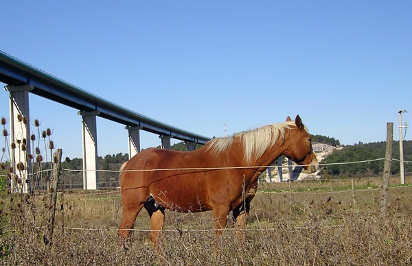 Mir i spokoj uz obalu Mirne, sedmi dio
